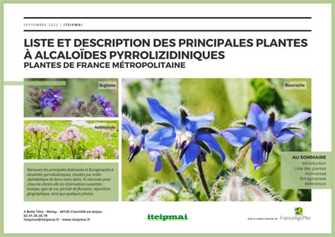 Infographie des principales plantes antidiarrhéiques