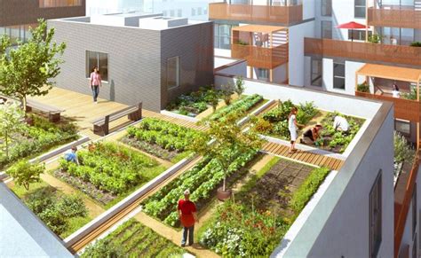 Vue aérienne d'un potager expérimental sur toit urbain