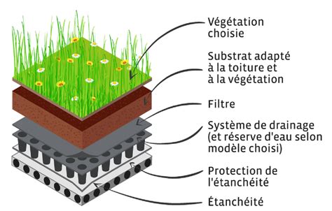 Schéma technique d'une toiture végétalisée productive