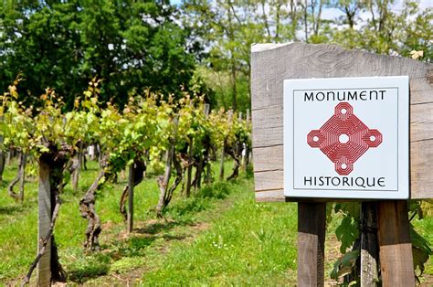Vigne historique