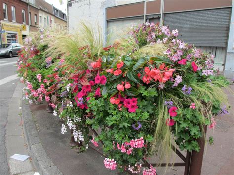Idée d'aménagement : bégonias en jardinière sur un balcon