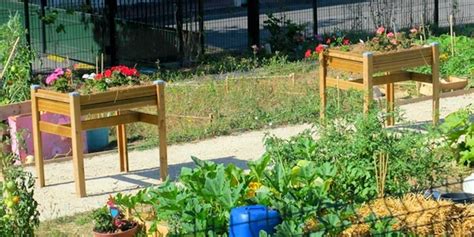 Illustration d'un jardin partagé avec des bacs de culture surélevés accessibles en fauteuil roulant