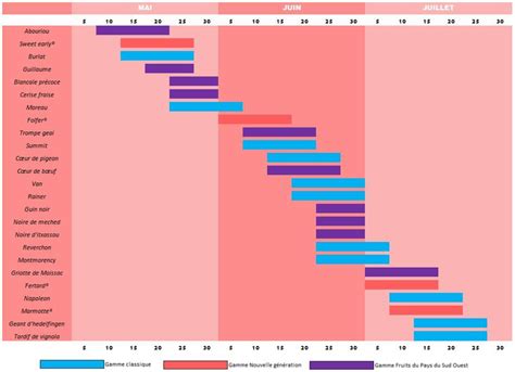 Tableau comparatif des cycles de fructification selon les variétés de figuiers