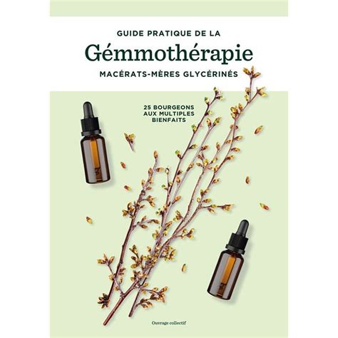 infographie sur la gemmothérapie et ses principes