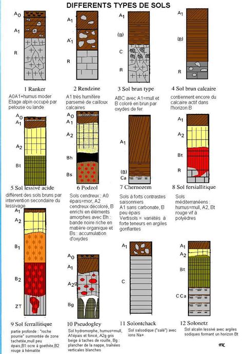 Schéma des différents types de sol adaptés au cognassier