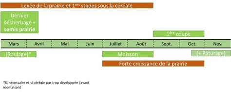 Schéma d'une prairie sous arbres