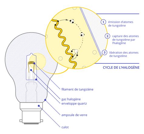 Schéma d'une ampoule halogène G4 avec ses broches