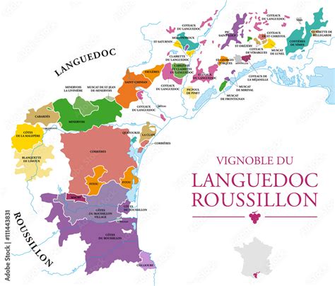 Vignoble du Languedoc-Roussillon sous le soleil