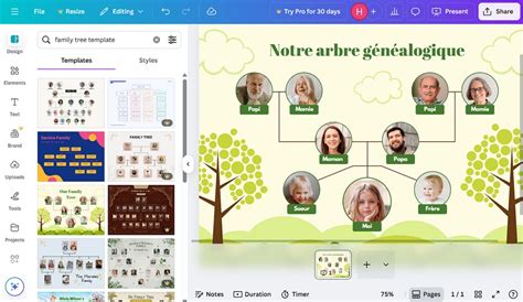 Arbre généalogique simplifié pour les familles Roba