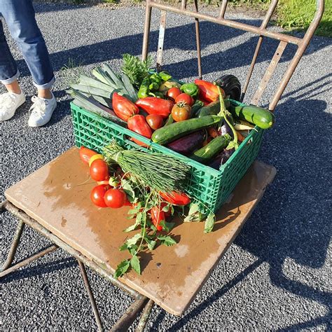 Maraîcher souletin présentant ses légumes fraîchement cueillis