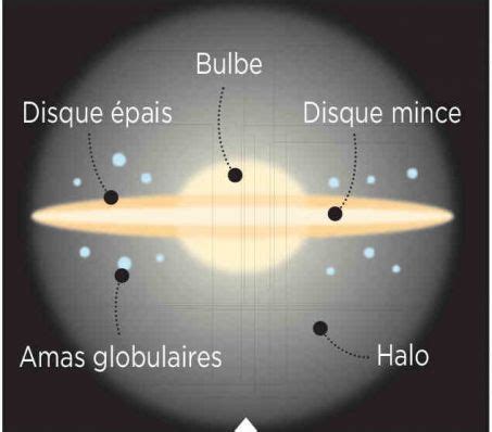 Structure de la Voie lactée avec son disque, son bulbe central et son halo