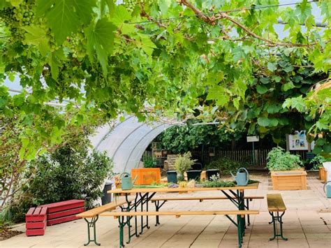 Infographie présentant les trois axes d'accompagnement pour les dirigeants de Jardins de Cocagne