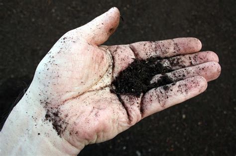 Les différents types d'activateurs de compost