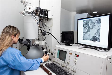 Microscope électronique observant une graine en germination
