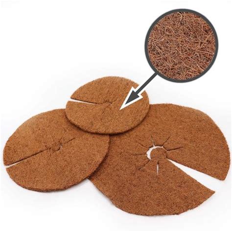 Noix de coco et paillis