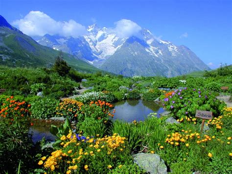 Jardin botanique alpin