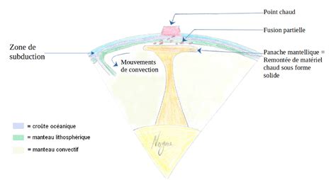 Schéma illustrant la méthode du panache en olfactométrie