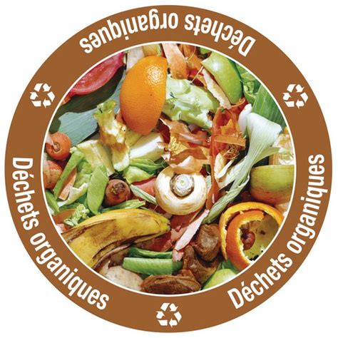 Diversité des déchets organiques pouvant être compostés