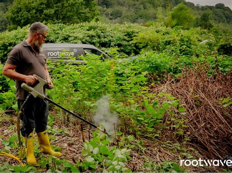 Schéma illustrant le principe du désherbage électrique Rootwave