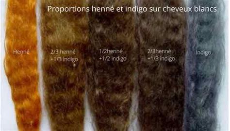 Palette de couleurs obtenues avec le henné et l'indigo
