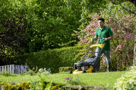 Infographie présentant les différents types de petits travaux de jardinage