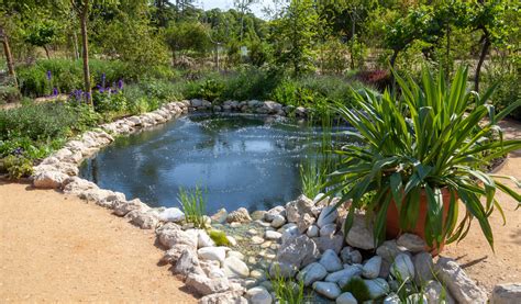 Jardin zen avec bassin et gravier