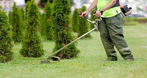 Diversité des services d'entretien des espaces verts