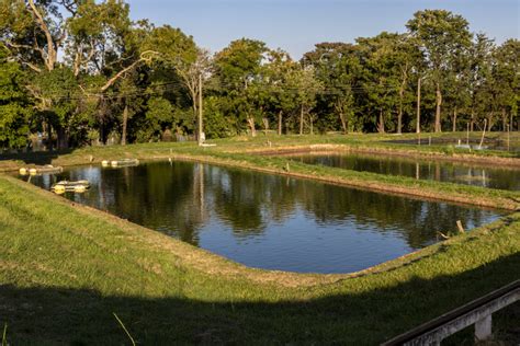 Étang biodynamique dans une ferme