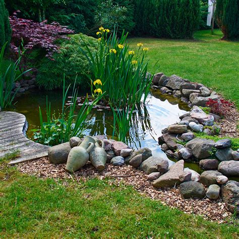 bassin de jardin avec une bordure en pierres naturelles et plantes de berge