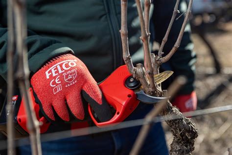 Caractéristiques du sécateur électrique FELCO 834V