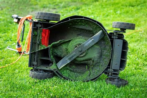 Tondeuse à gazon avec lame de paillage