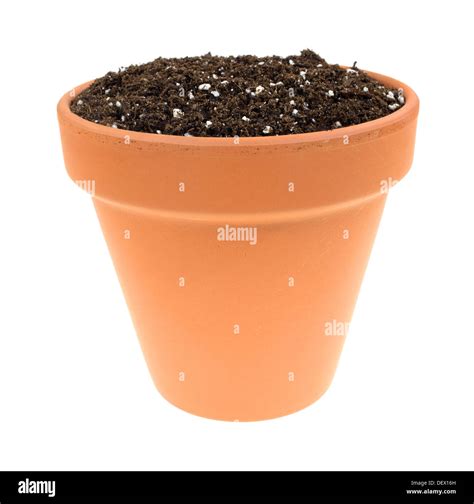 Plante en pot rempli de terreau All Mix