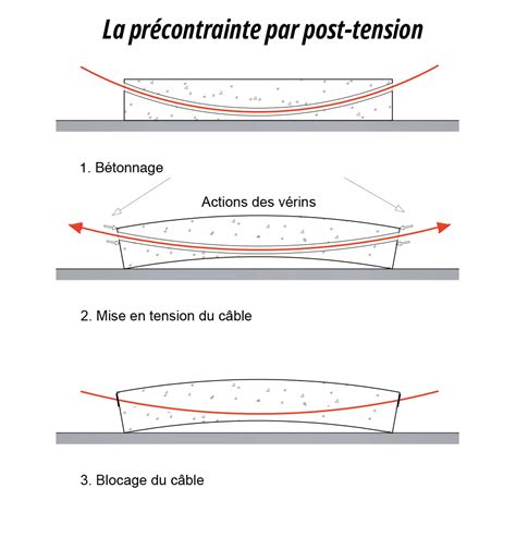 Étapes de rempotage : pose des grilles, placement du fil d'ancrage et positionnement de l'arbre