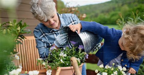 Image d'un enfant jardinant avec un adulte