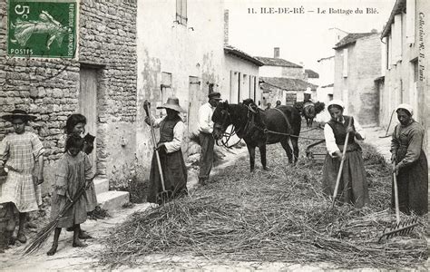 Scène de vie rurale fin XIXe siècle en France