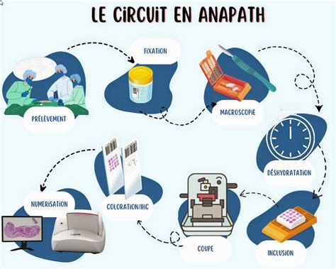 Schéma du parcours d'un prélèvement biologique
