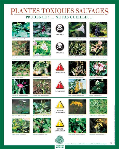 Pictogramme de danger pour les plantes toxiques