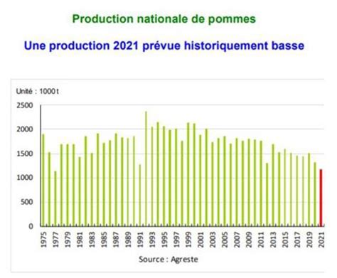 Graphique comparatif de la production de pommes de Tom et de son frère