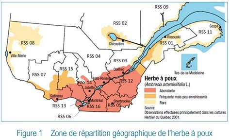 Carte de distribution de l'herbe à poux