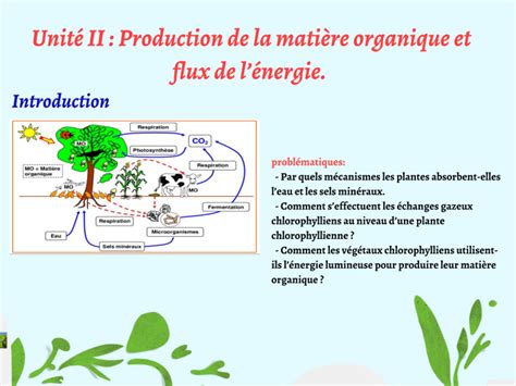 Flux de production d'engrais organique