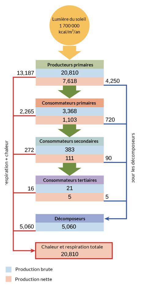 Représentation géographique de l'appropriation de la production primaire nette par les humains