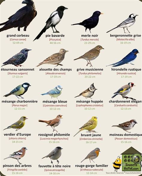 Indicateur STOC (Oiseaux communs de France) par habitat