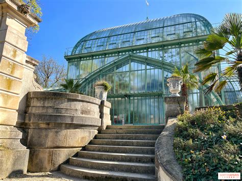 Vue intérieure des serres de Drezet avec des plantes en production