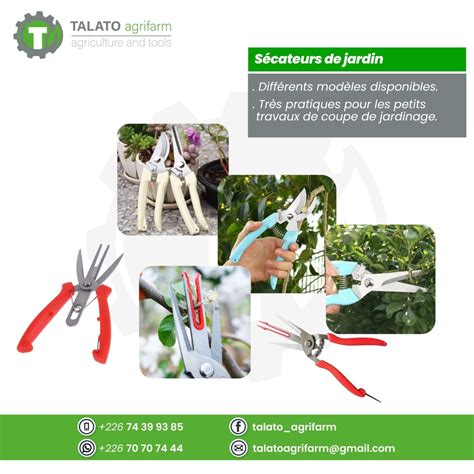 Étagère d'outils de jardinage avec différents sécateurs