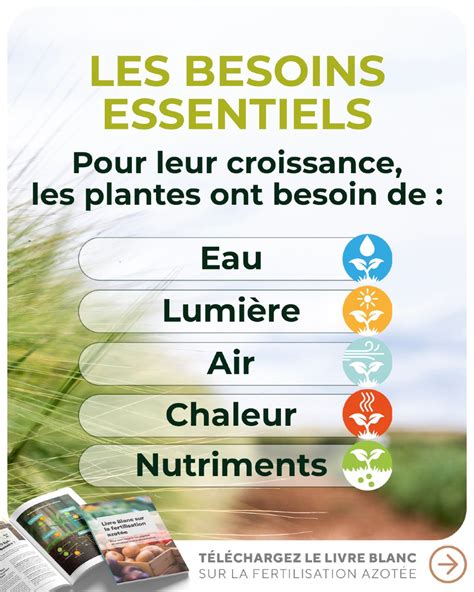 Infographie sur les nutriments essentiels des plantes