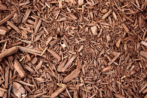Wood chips mulch