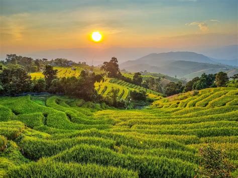 Rizières en terrasses de Ban Pa Pong Piang à Chiang Mai