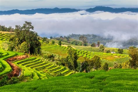 Rizières en terrasses de Mae Klang Luang à Chiang Mai