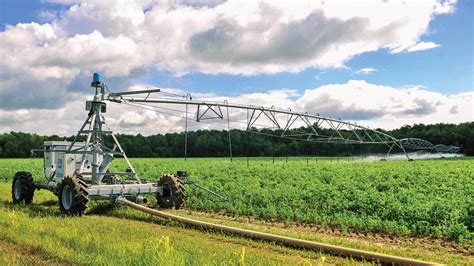Système d'irrigation alternée dans une rizière