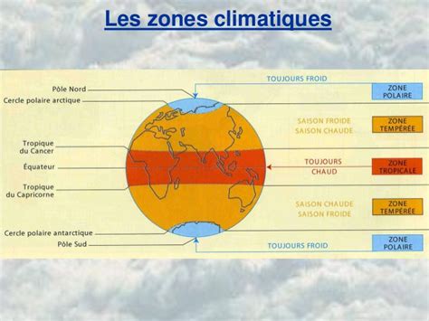 Diagramme des zones climatiques et végétales